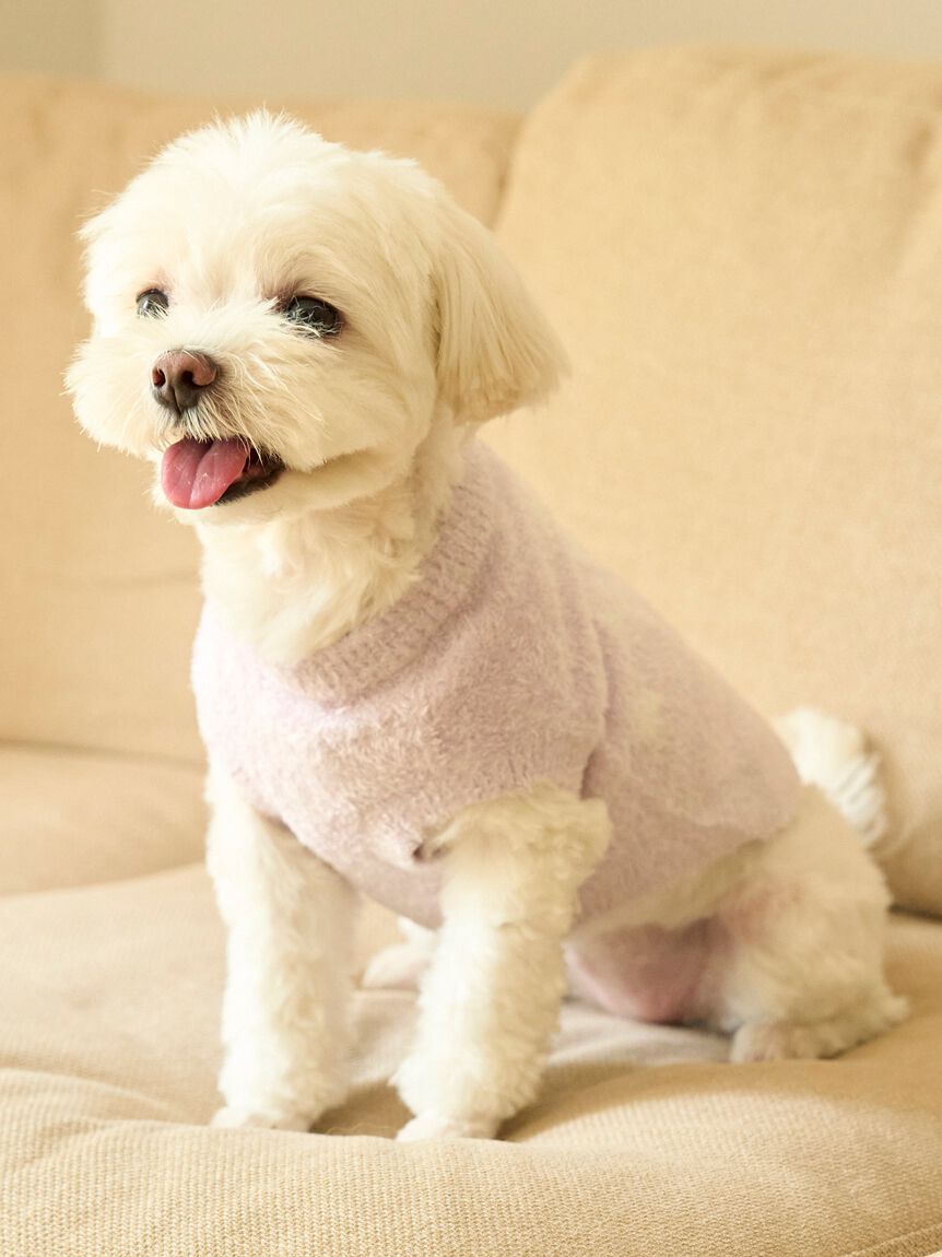  GELATO PIQUE CAT&DOG「【CAT&DOG】スター柄ノースリーブプルオーバー」|その他|