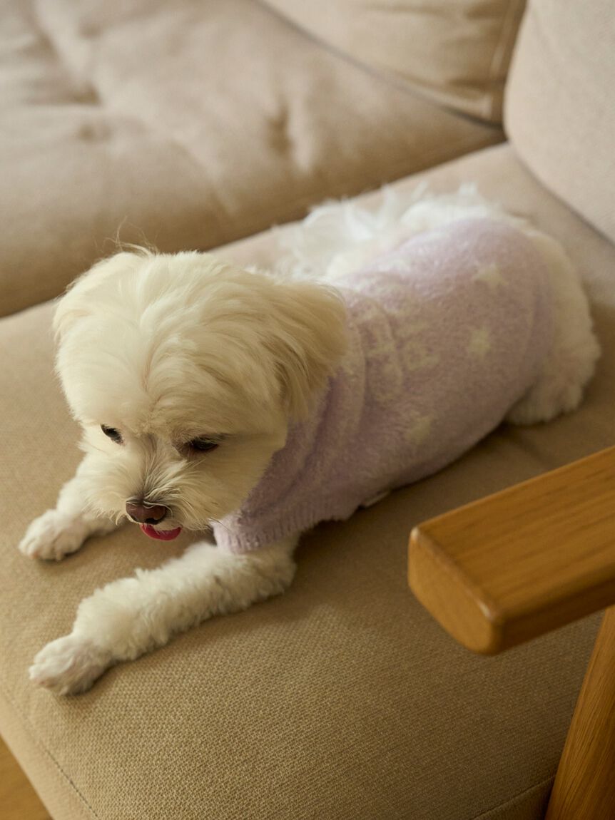  GELATO PIQUE CAT&DOG「【CAT&DOG】スター柄ノースリーブプルオーバー」|その他|