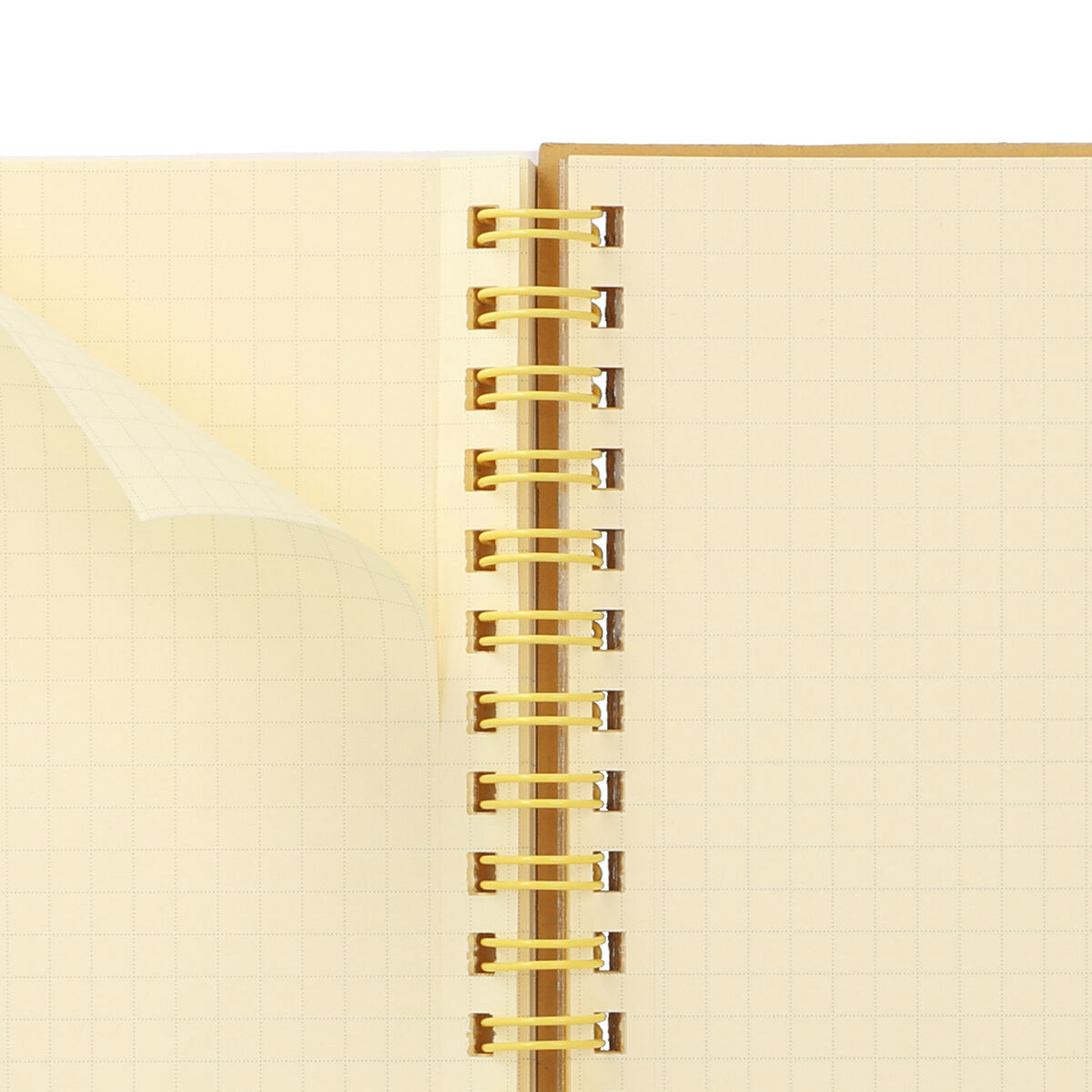 Rollbahn「ロルバーン ポケット付メモ スコラ L」|ステーショナリー|