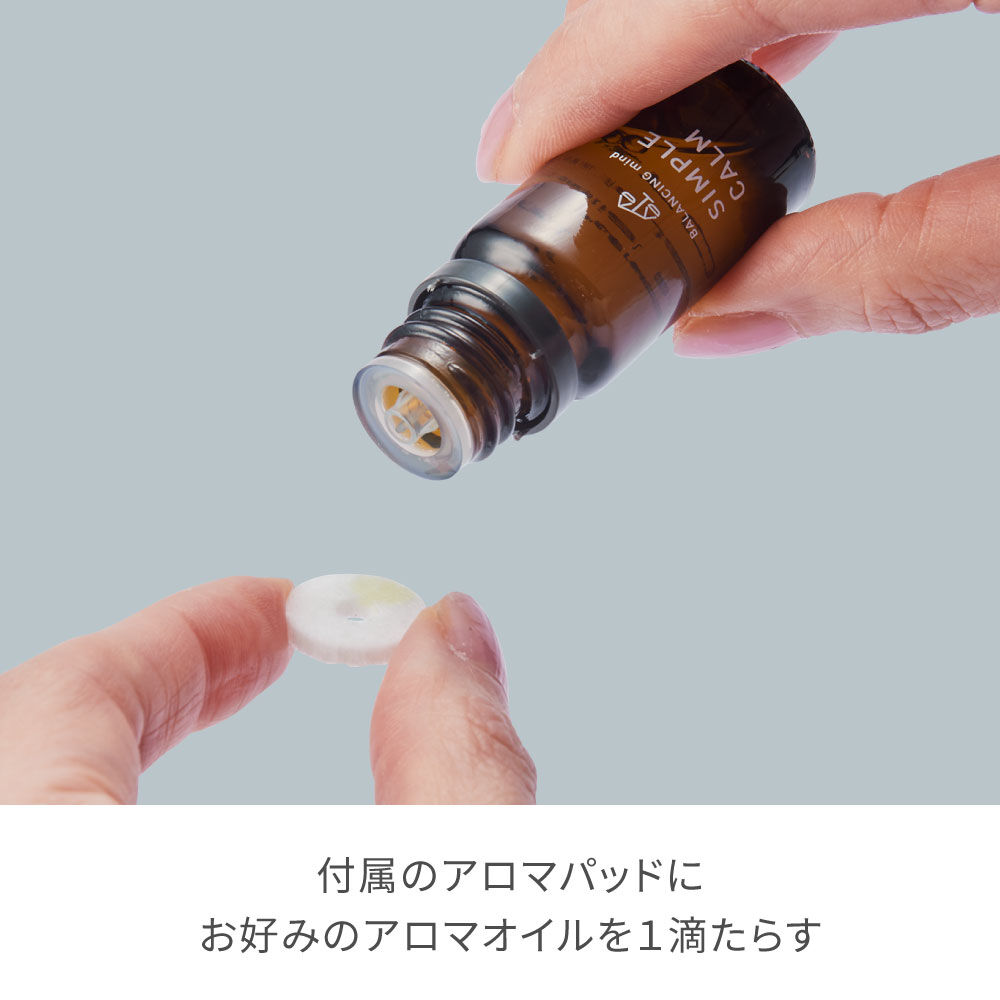 FESTINO「フェスティノ フェイシャル アロマ ナノスチーマー　SMHB-043」|コスメ雑貨|