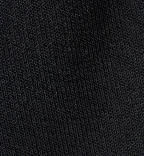 BEAUTY&YOUTH UNITED ARROWS「＜LACOSTE for BEAUTY&YOUTH＞ワントーン ロゴ パンツ」|チノ|