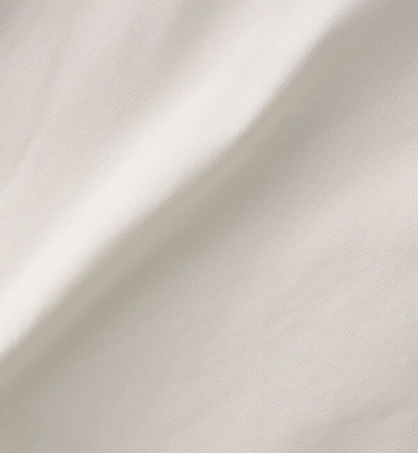 SHIPS Colors 「SHIPS Colors: Labrador Retriever コラボTシャツ(80~130cm)」|Tシャツ・カットソー|