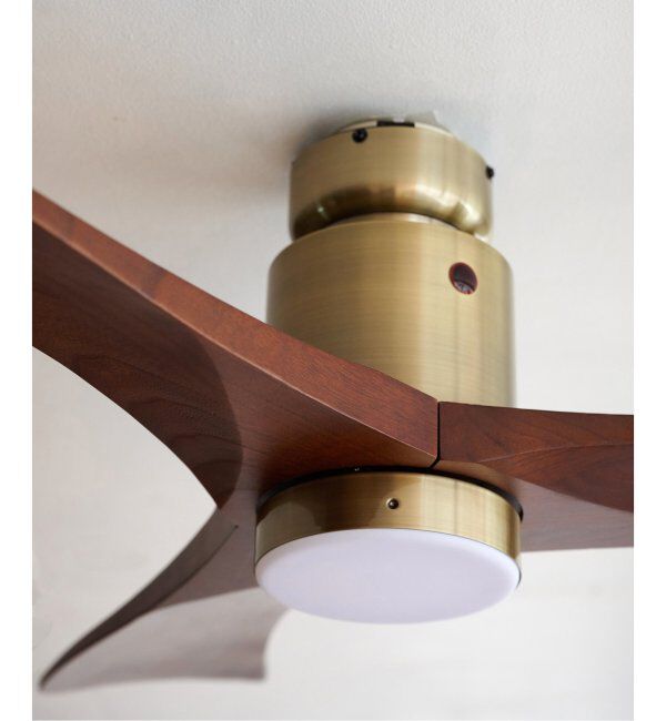 journal standard Furniture「シーリングファンライト」|その他|