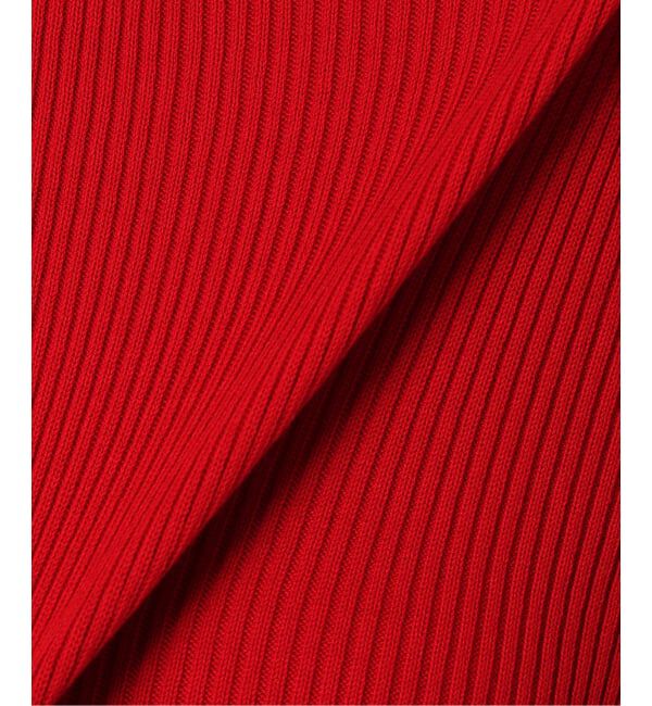 JOURNAL STANDARD relume「《WEB限定追加 / 新色》スイスオーガニックコットンタートルネックプルオーバー」|ニット・セーター|