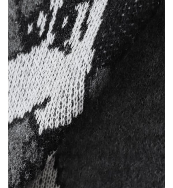 Oriens JOURNAL STANDARD「【Carne Bollente/カルネボレンテ】  Lady Meets Tramp AW25CAR0101」|ニット・セーター|