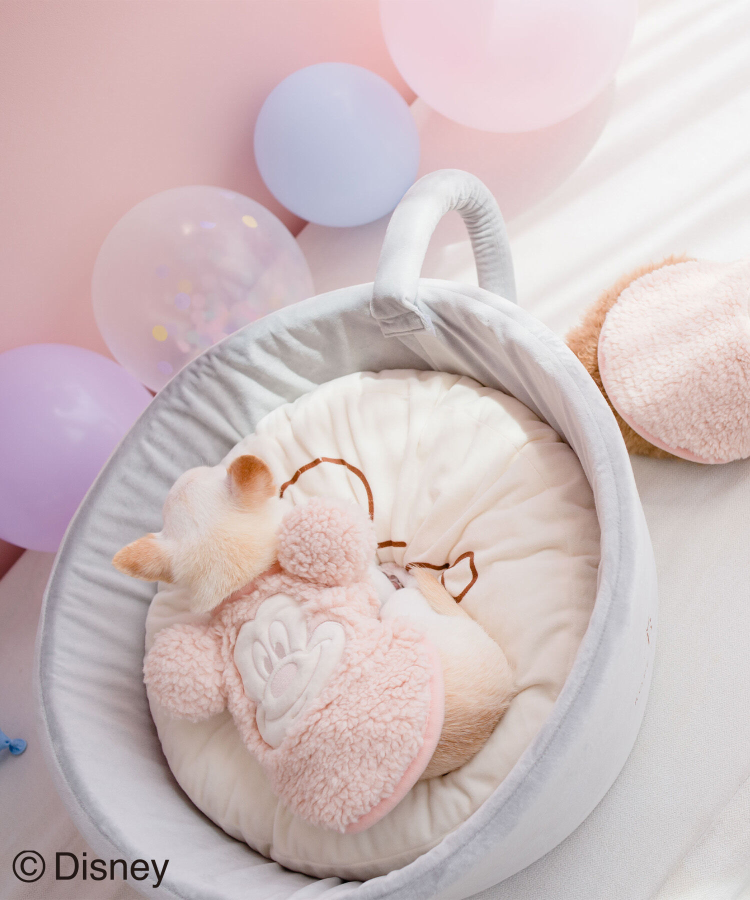 ROPE PICNIC PASSAGE「【DOG】【DISNEY /ディズニー】ミッキー/ラテアートベッド」|その他|