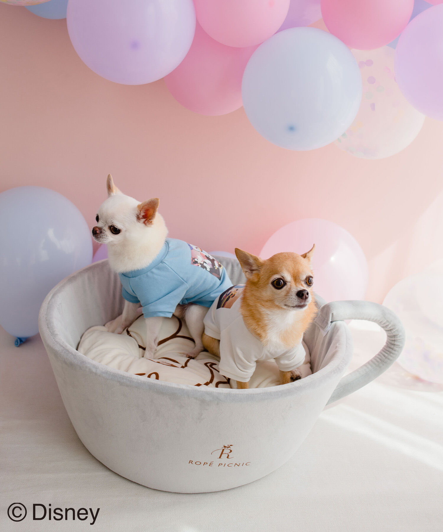 ROPE PICNIC PASSAGE「【DOG】【DISNEY /ディズニー】ミッキー/ラテアートベッド」|その他|