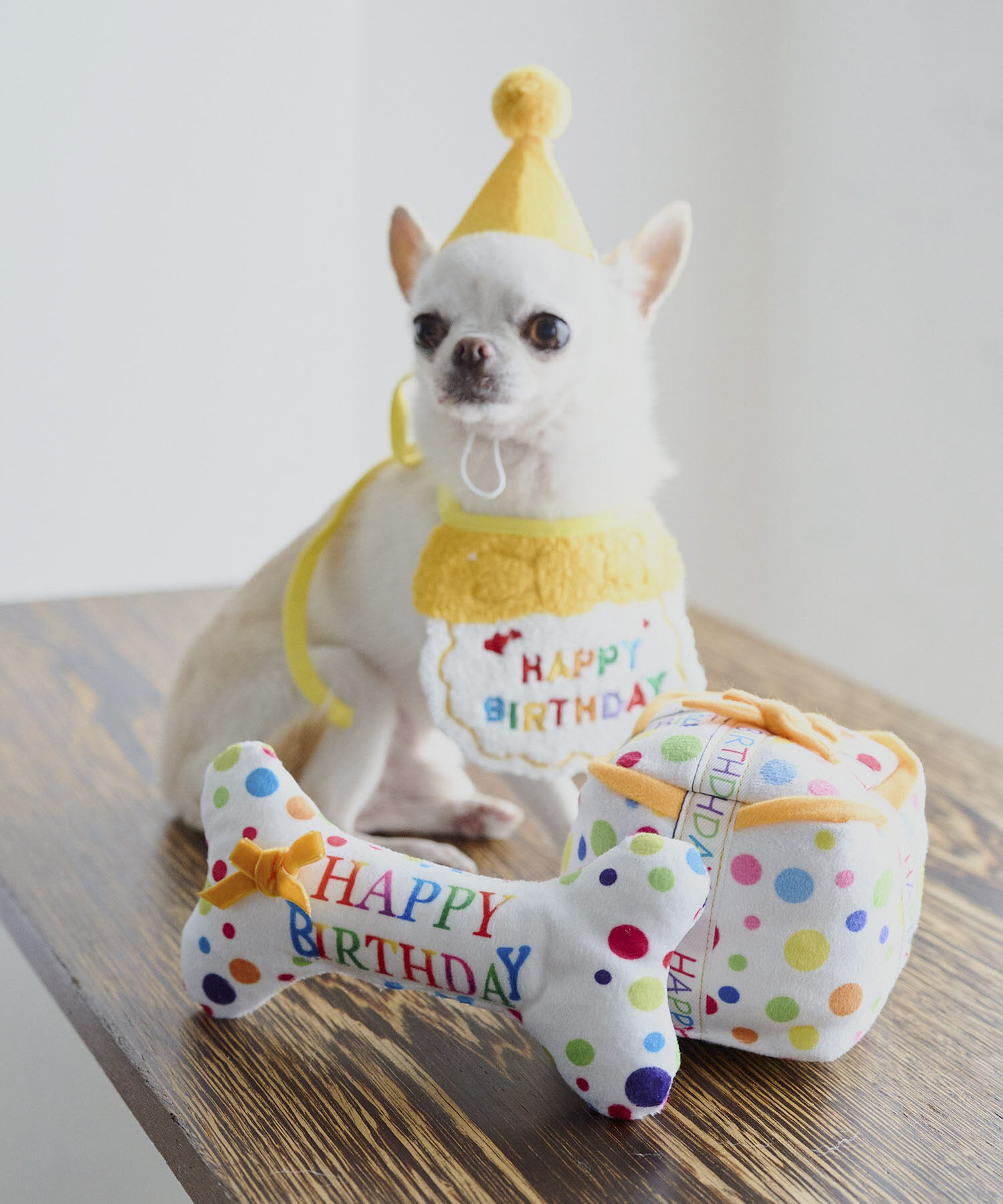 ROPE PICNIC PASSAGE「【DOG】birthday ギフトボーン」|その他|