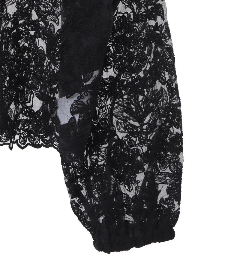 AMERICAN HOLIC「前後2WAYシアーレースブラウス」|シャツ・ブラウス|