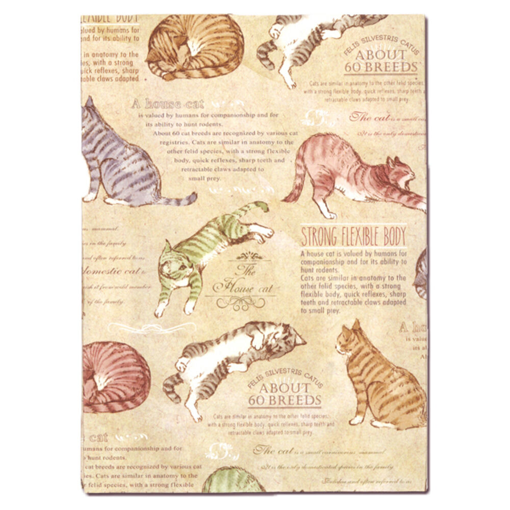 BACKYARD FAMILY「ブックカバー フリーサイズ 通販 文庫 a5 b6 四六判 単行本 読書 本 カバー タイベック」|その他|その他3