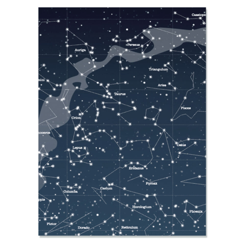 BACKYARD FAMILY「ブックカバー フリーサイズ 通販 文庫 a5 b6 四六判 単行本 読書 本 カバー タイベック」|その他|その他8