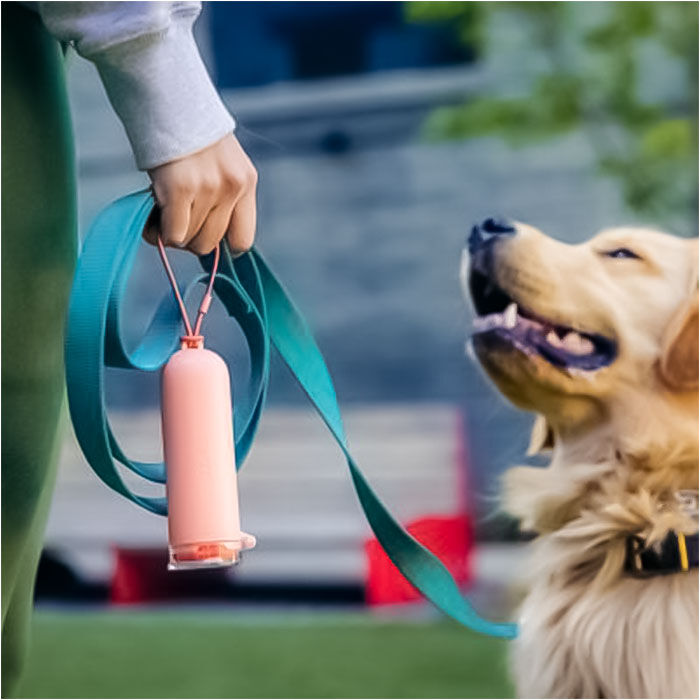 BACKYARD FAMILY「ポケットワイプウェットティッシュ 通販 ポケットワイプ ウェットティッシュ ウエットティッシュ」|その他|