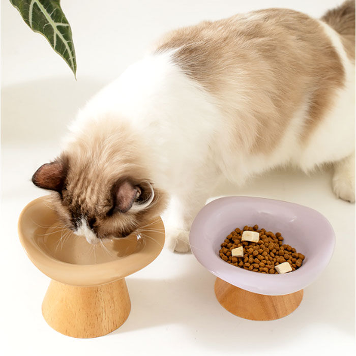 BACKYARD FAMILY「フードボウル 高さがある 通販 フードボール スタンド 餌入れ エサ入れ ペット食器 ご飯皿 ネコ」|その他|