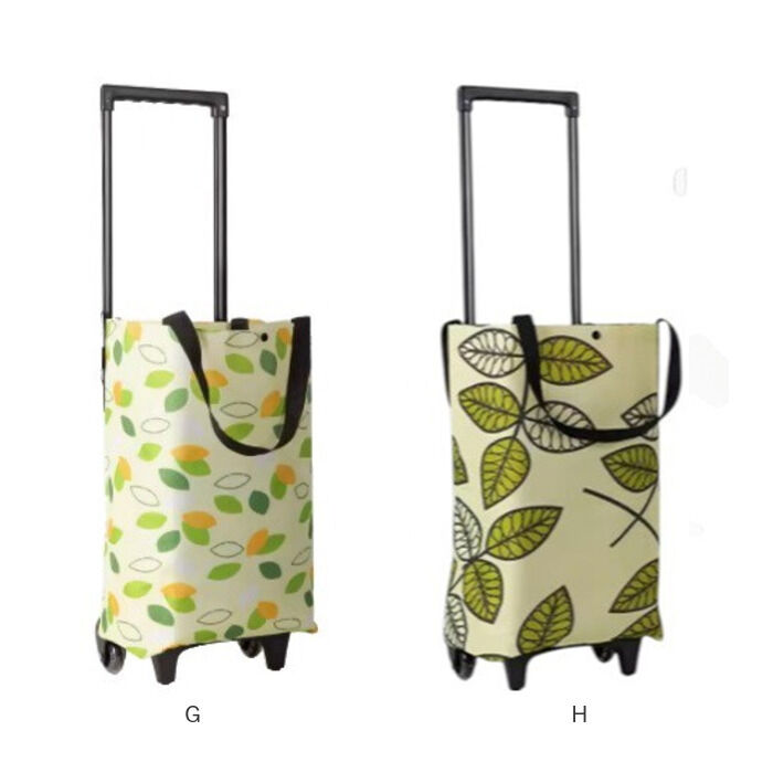 BACKYARD FAMILY「ショッピングカート 折り畳み 通販 キャリーカート 買い物カート ショッピングキャリー カート」|キャリーケース|