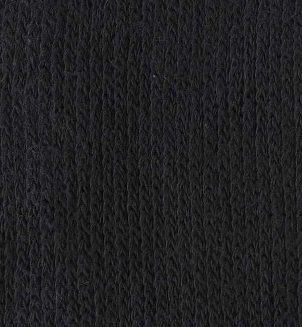 BEAUTY&YOUTH UNITED ARROWS「＜THE RAILROAD SOCK＞HEALTH TRAK 2P/ソックス」|ソックス|