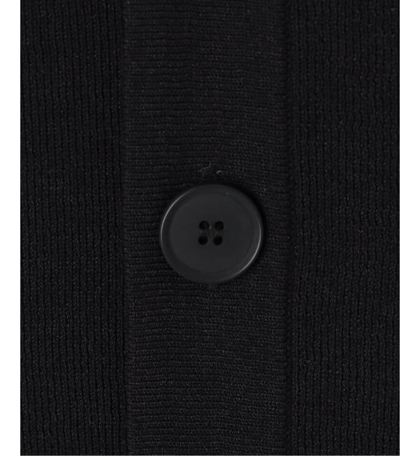 SLOBE IENA「《WEB限定/追加》総針Vネック ニットベスト」|ベスト・ジレ|