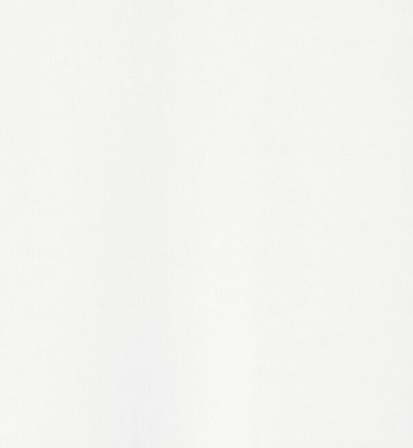 NOLLEY'S「MY STANDARD シアーロンT」|Tシャツ・カットソー|