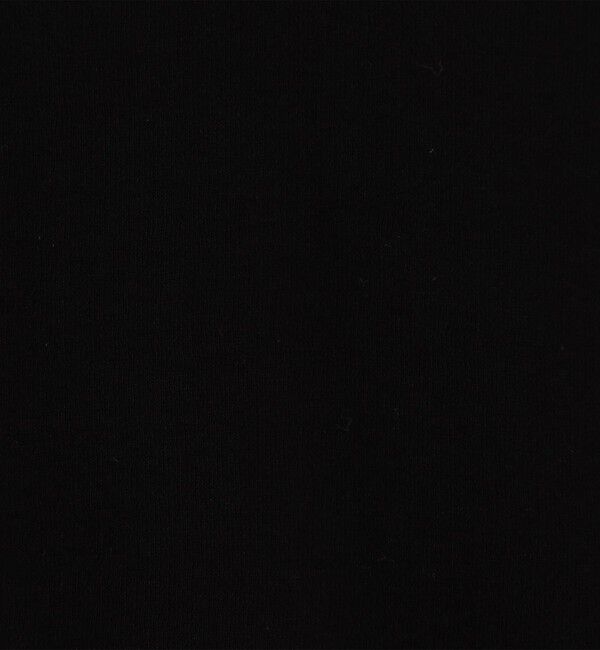 NOLLEY'S「MY STANDARD シアーロンT」|Tシャツ・カットソー|