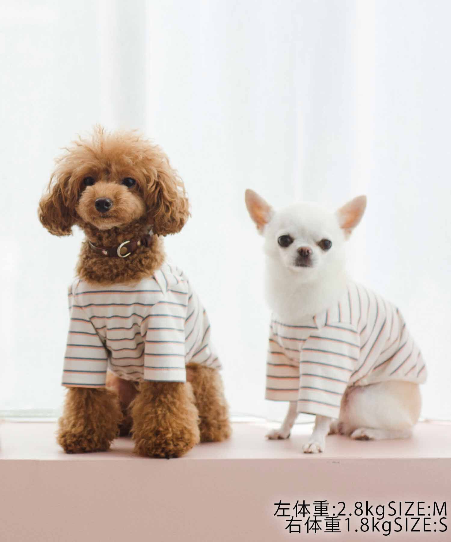 ROPE PICNIC PASSAGE「【一部店舗限定】おもちくん&times;ROPE' PICNIC/マルチボーダーカットソー」|その他|