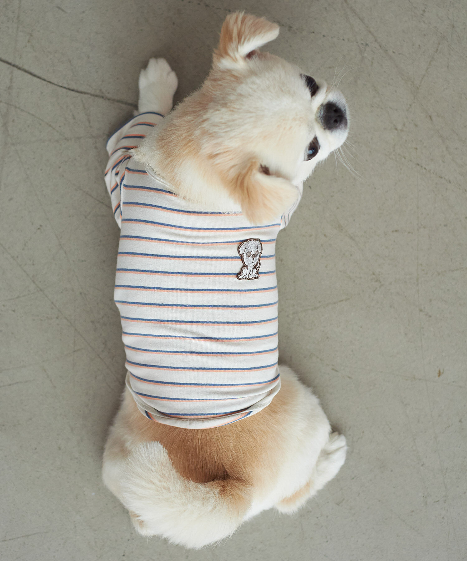 ROPE PICNIC PASSAGE「【一部店舗限定】おもちくん&times;ROPE' PICNIC/マルチボーダーカットソー」|その他|