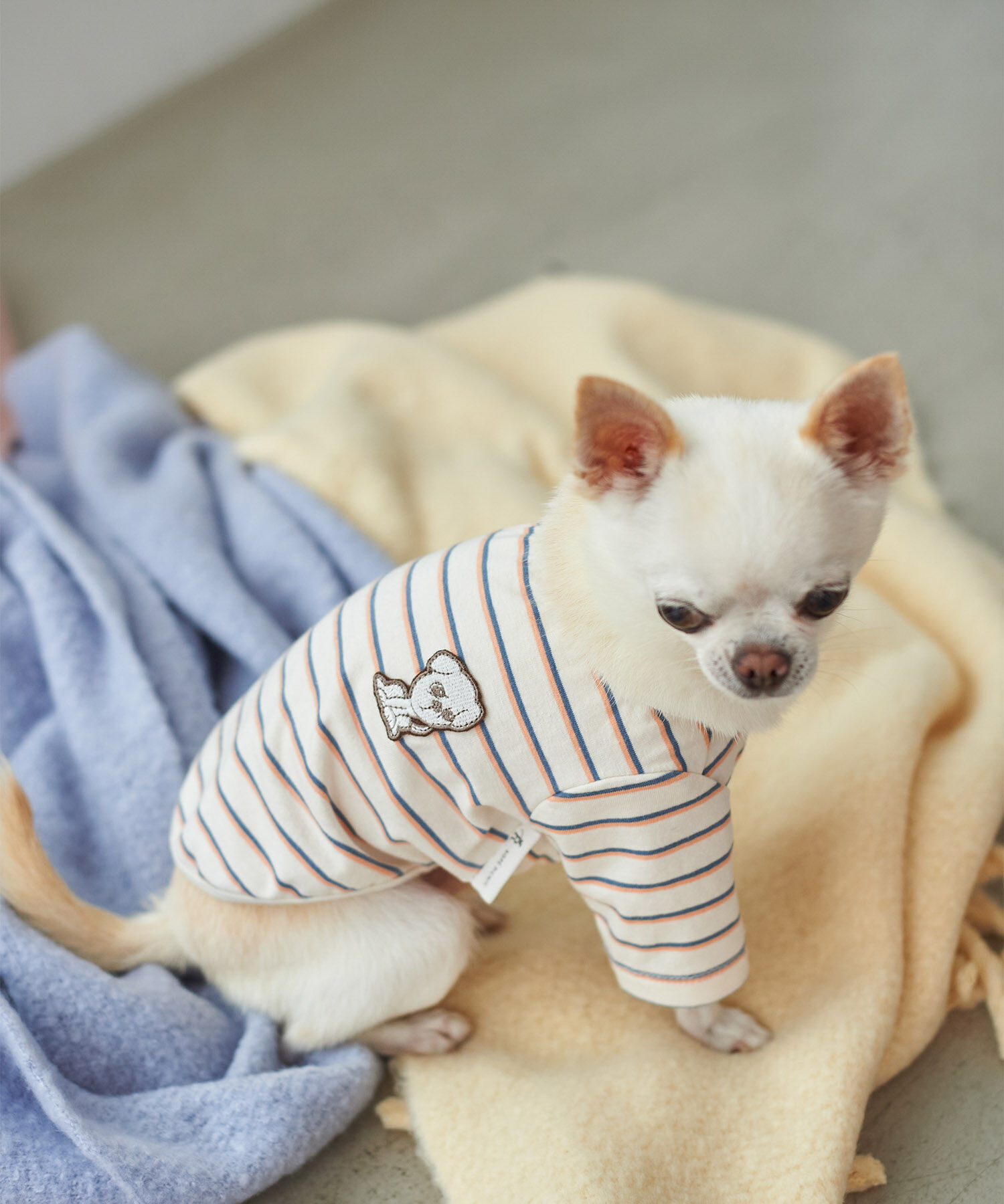 ROPE PICNIC PASSAGE「【一部店舗限定】おもちくん&times;ROPE' PICNIC/マルチボーダーカットソー」|その他|