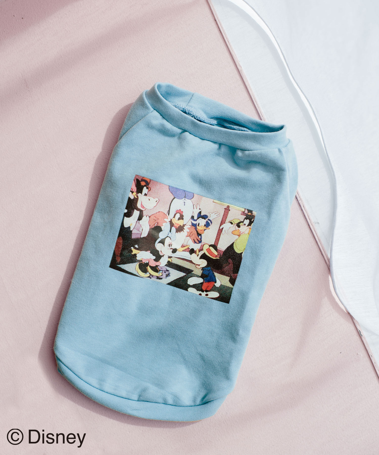 ROPE PICNIC PASSAGE「【DOG】【DISNEY /ディズニー】バースデイーフォトTシャツ」|その他|