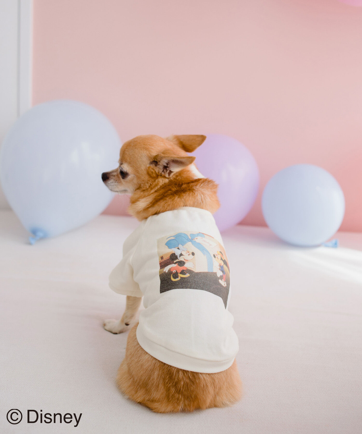 ROPE PICNIC PASSAGE「【DOG】【DISNEY /ディズニー】バースデイーフォトTシャツ」|その他|