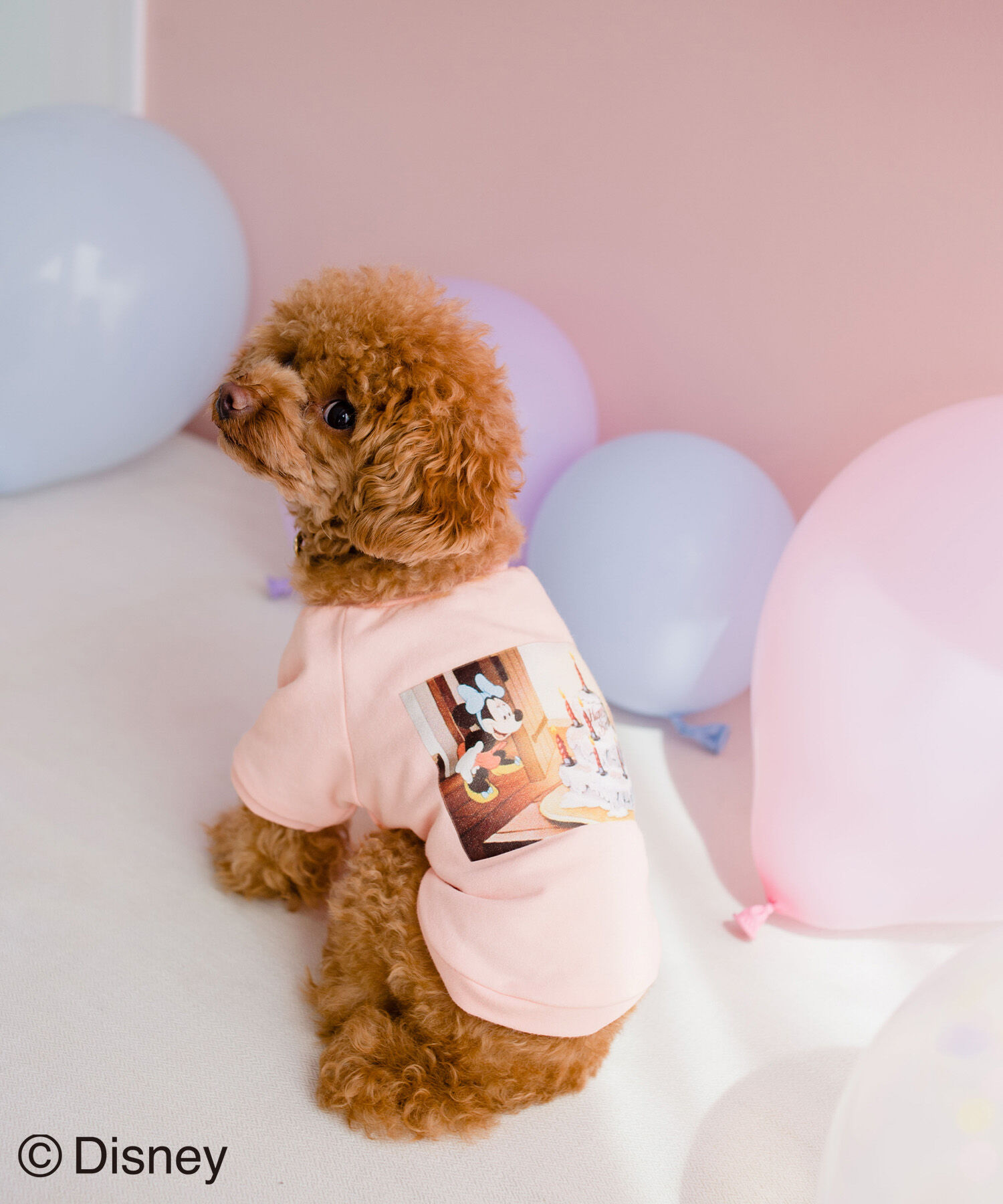 ROPE PICNIC PASSAGE「【DOG】【DISNEY /ディズニー】バースデイーフォトTシャツ」|その他|ピンク(63)