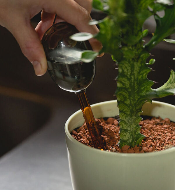 collex「【amabro/アマブロ】 TWO TONE WATER DISPENSER ウ」|フラワーベース|