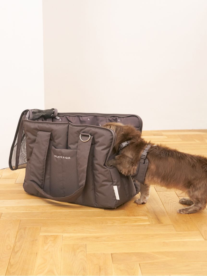  GELATO PIQUE CAT&DOG「【CAT&DOG】背中あきハーネス」|その他|