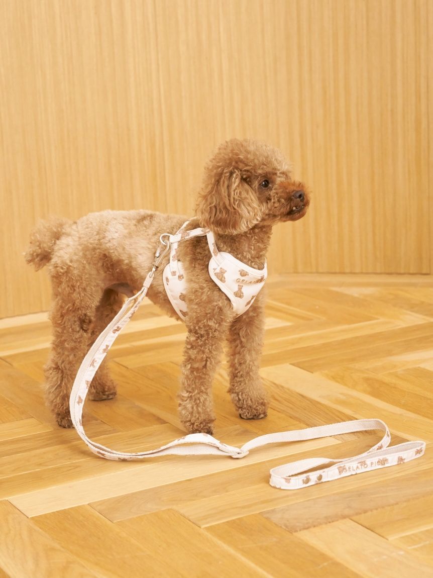  GELATO PIQUE CAT&DOG「【CAT&DOG】背中あきハーネス」|その他|