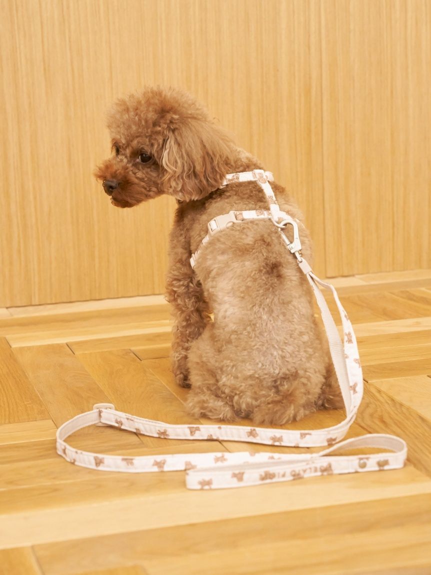  GELATO PIQUE CAT&DOG「【CAT&DOG】背中あきハーネス」|その他|