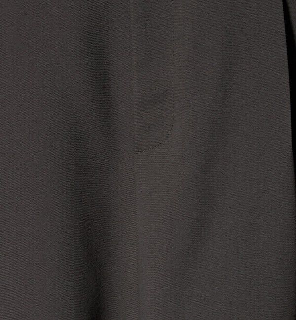 BEAUTY&YOUTH UNITED ARROWS「ポリエステル プリーツワイドパンツ」|その他|