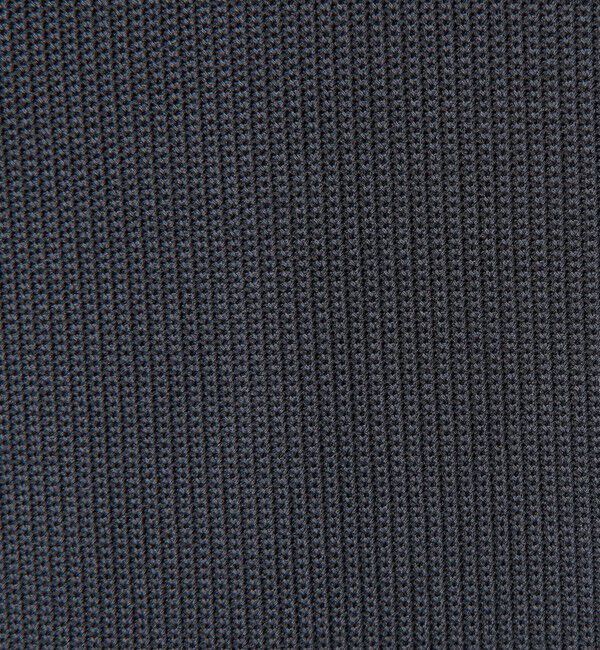 BEAUTY&YOUTH UNITED ARROWS「＜LACOSTE for BEAUTY&YOUTH＞ワントーン ロングスリーブ Tシャツ」|Tシャツ・カットソー|