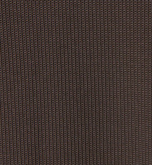 BEAUTY&YOUTH UNITED ARROWS「＜LACOSTE for BEAUTY&YOUTH＞ワントーン ロングスリーブ Tシャツ」|Tシャツ・カットソー|