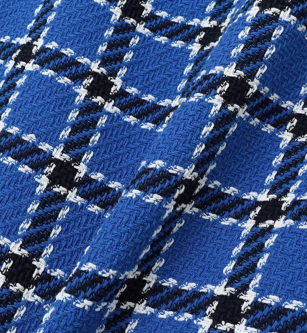 quaranciel「quaranciel: ブルー ツイード チェック Iライン スカート（セットアップ対応）」|スカート|