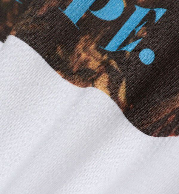 SHIPS「BENCH MARKING SHIRT: フラワー フォト プリント Tシャツ」|Tシャツ・カットソー|