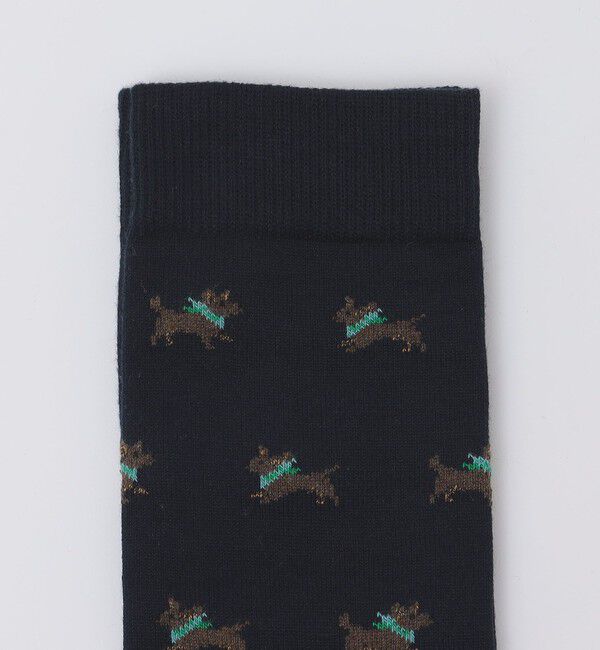 SHIPS「ROYALTIES: ARBERT」|ソックス|