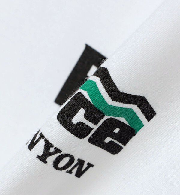 SHIPS any「【WEB限定】SHIPS any: NATIONAL PARK ヴィンテージライク ワンポイント プリント Tシャツ◇」|Tシャツ・カットソー|