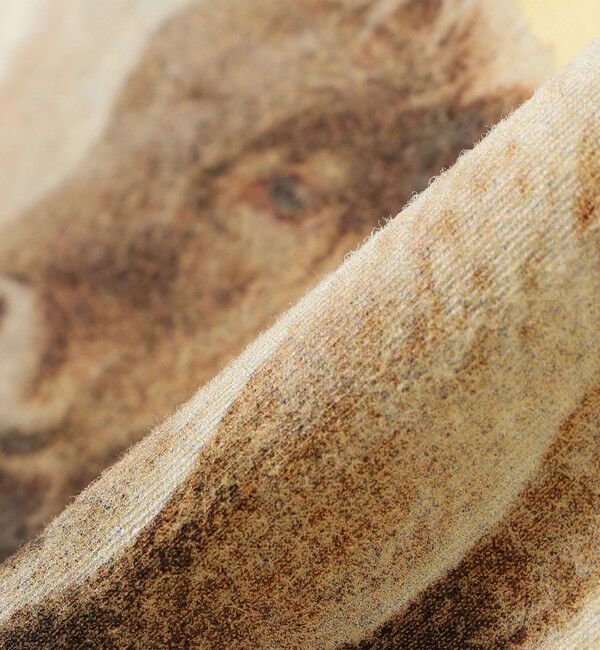 SHIPS for women「【SHIPS別注】ACASAM: フォト TEE」|Tシャツ・カットソー|