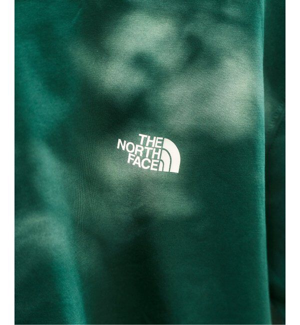 417 EDIFICE「THE NORTH FACE / ザ ノースフェイス Pixel Plant Cotton Tee」|Tシャツ・カットソー|