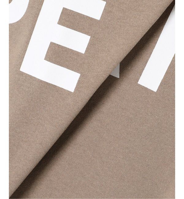 JOURNAL STANDARD relume「《追加2》別注【Snow Peak/スノーピーク】Tシャツワンピース」|ワンピース|