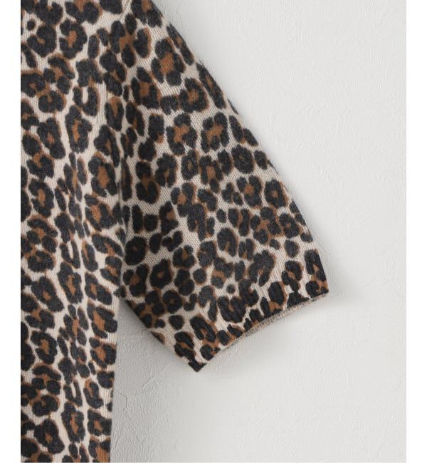 Spick and Span「レオパードプリントハーフスリーブニット」|ニット・セーター|