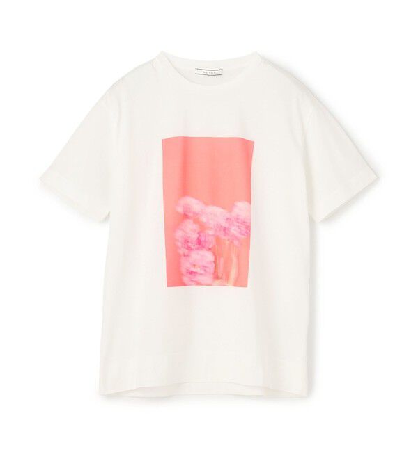 BEIGE,「【洗える・クロワッサン 掲載】PENTAS / オリジナルフォトプリントＴシャツ」|Tシャツ・カットソー|