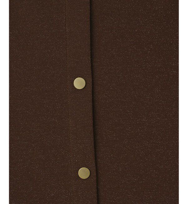 Diagram「ラメカットスカート」|スカート|