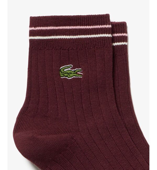 LACOSTE「配色ダブルラインリブニットソックス 22-24cm」|ソックス|