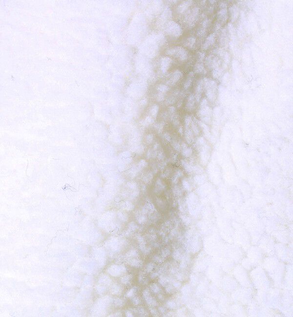 GLOSTER「【2WAYで着回せる】【UNISEX】GLOSTER配色別注 TAIONボア&times;ダウンブルゾン」|ダウン|