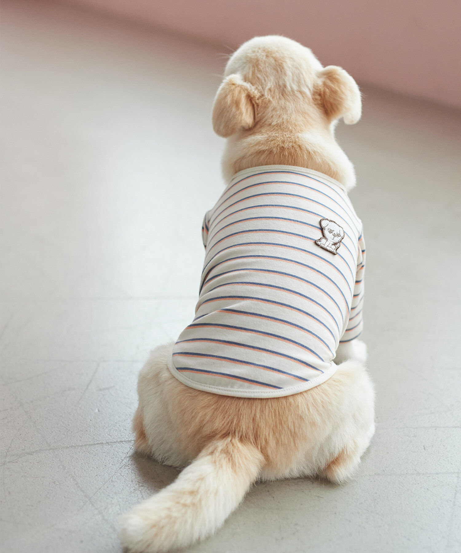 ROPE PICNIC PASSAGE「【一部店舗限定】おもちくん&times;ROPE' PICNIC/マルチボーダーカットソー」|その他|