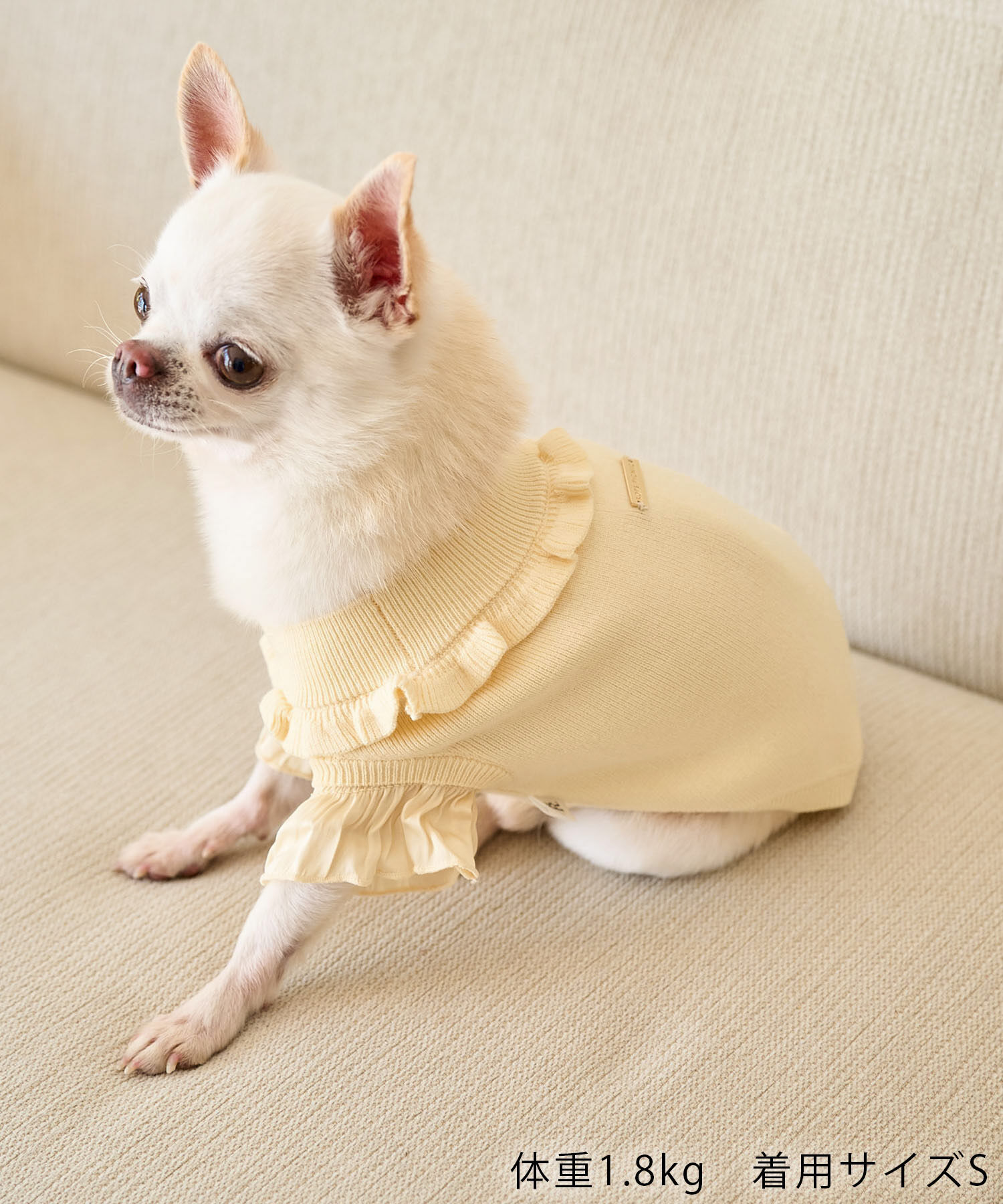 ROPE PICNIC PASSAGE「【DOG】袖プリ－ツニットプルオーバー/リンクコーデ」|その他|