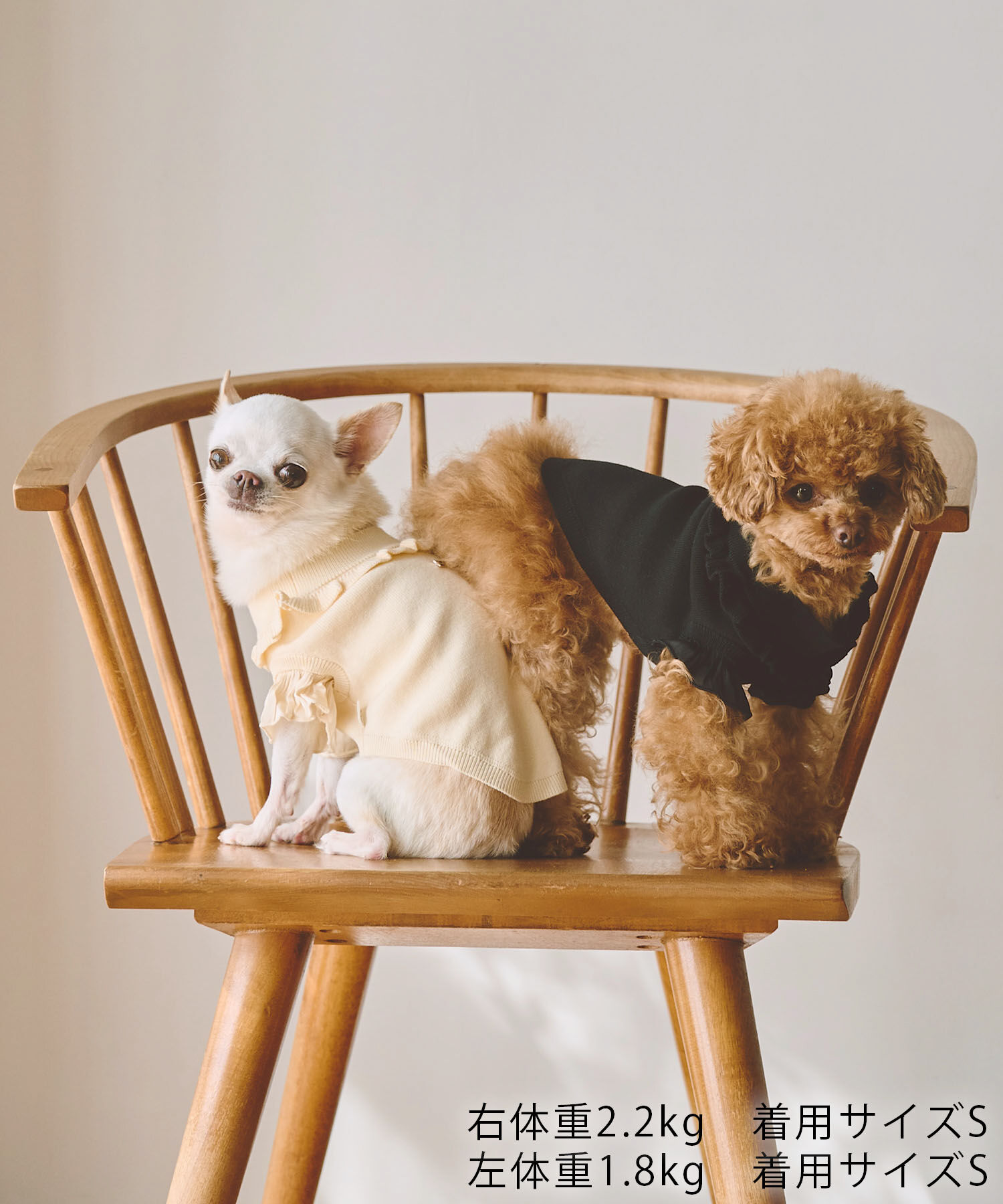 ROPE PICNIC PASSAGE「【DOG】袖プリ－ツニットプルオーバー/リンクコーデ」|その他|